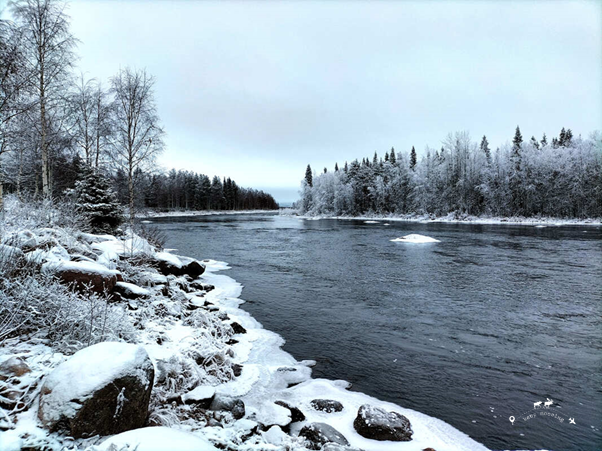 What to see in Rovaniemi in winter. River flowing through a snow-capped valley outside Rovaniemi. On the sides the Lappish forest. Gray sky in the background.