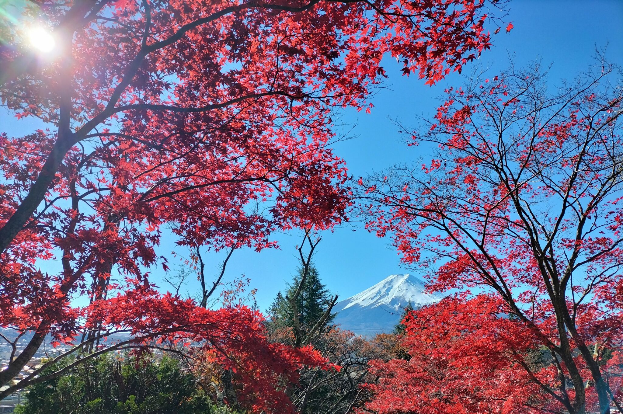 What To Do in Lake Kawaguchi in 2 Days: A Relaxing Trip to the Base of ...