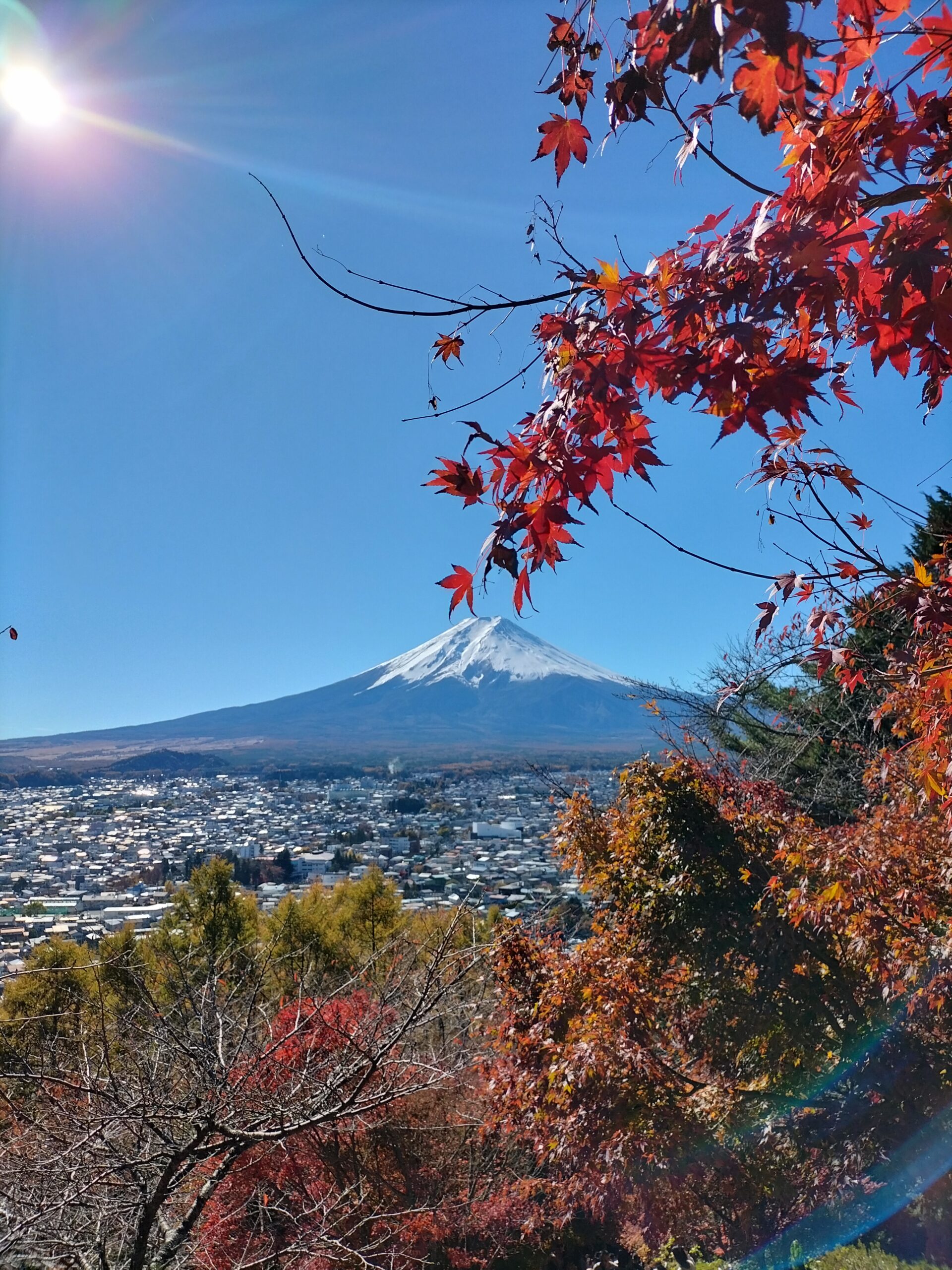 What To Do in Lake Kawaguchi in 2 Days: A Relaxing Trip to the Base of ...