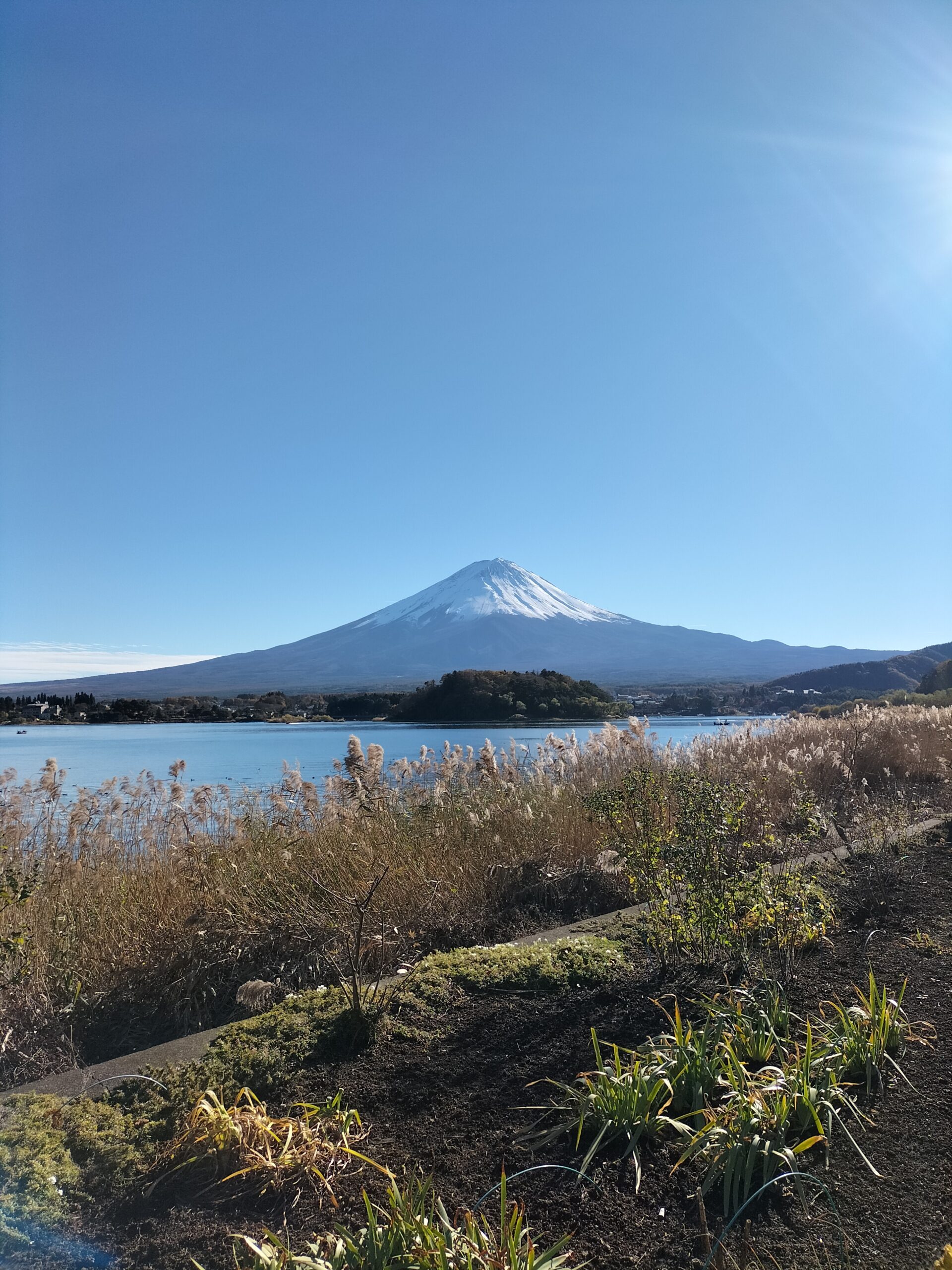 What To Do in Lake Kawaguchi in 2 Days: A Relaxing Trip to the Base of ...